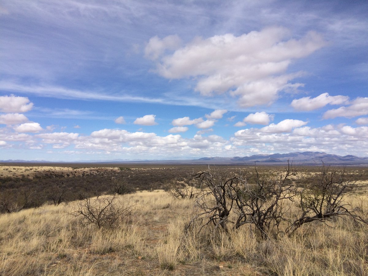 Southern (AZ)  and Northern Borders (NY). I started work on Border People after Trump got elected. Went to northern border with Canada, in 2017, and then to Southern Border. 
Remounting it next week at The Marsh in SF. 8 performances only. As relevant as ever.