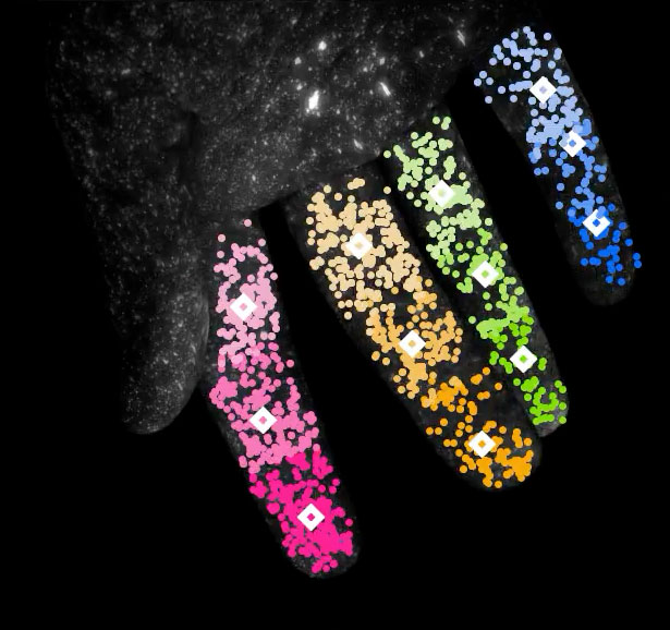 Eiman Azim (@eazim) on Twitter photo Check out GlowTrack - Dan Butler's (<a href="/djbutler09/">Dan Butler</a>) work developing new ways to generate versatile motion capture models is now published! With Alex Keim and Shantanu Ray.
nature.com/articles/s4146… Check out GlowTrack - Dan Butler's (<a href="/djbutler09/">Dan Butler</a>) work developing new ways to generate versatile motion capture models is now published! With Alex Keim and Shantanu Ray.
nature.com/articles/s4146…