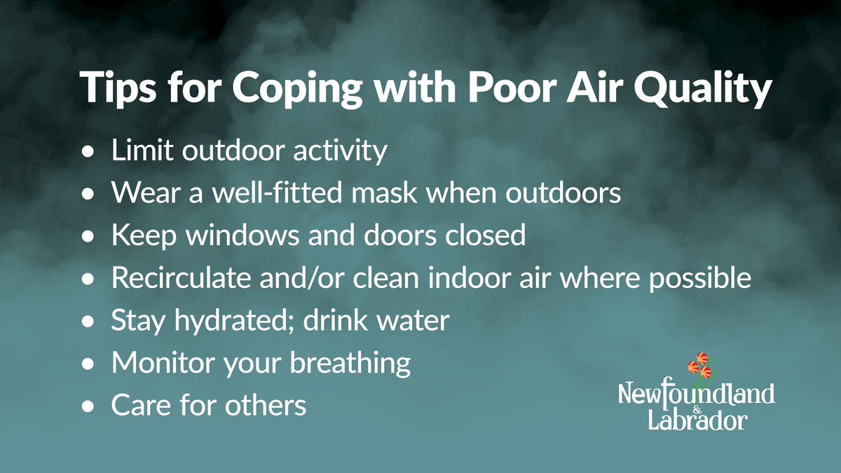 ⚠️ Wildfire smoke originating in other parts of Canada has triggered Environment Canada to issue Special Air Quality Statements for parts of the province. Here are some tips from #GovNL’s public health team to help reduce your risk. #nlwx More info: weather.gc.ca/forecast/canad…