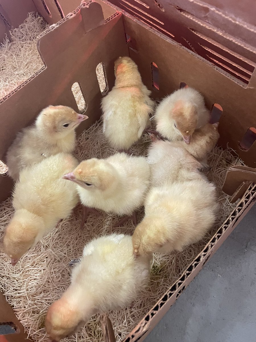 Humble ISD CTE tweet media