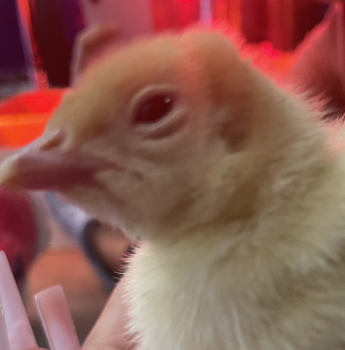 Humble ISD CTE tweet media