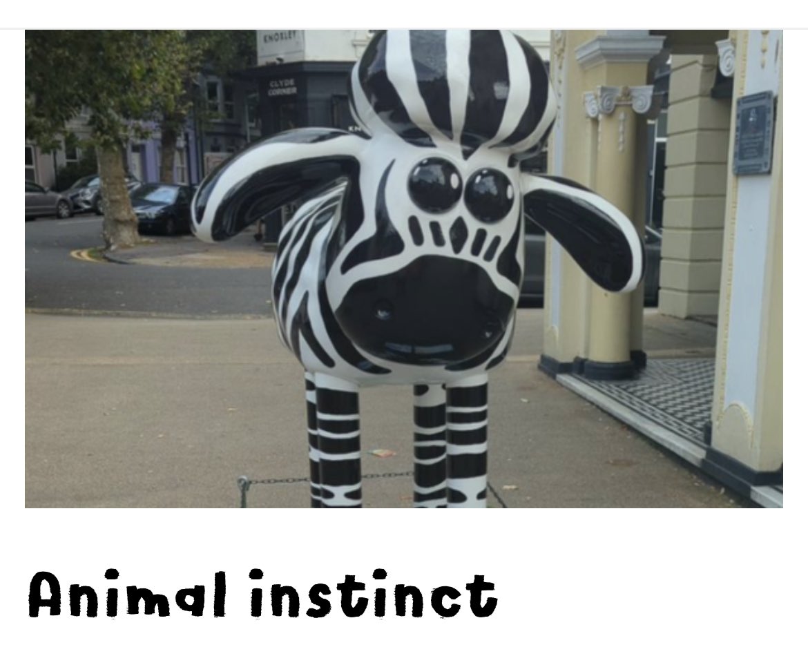 Jill Cochrane tweet media