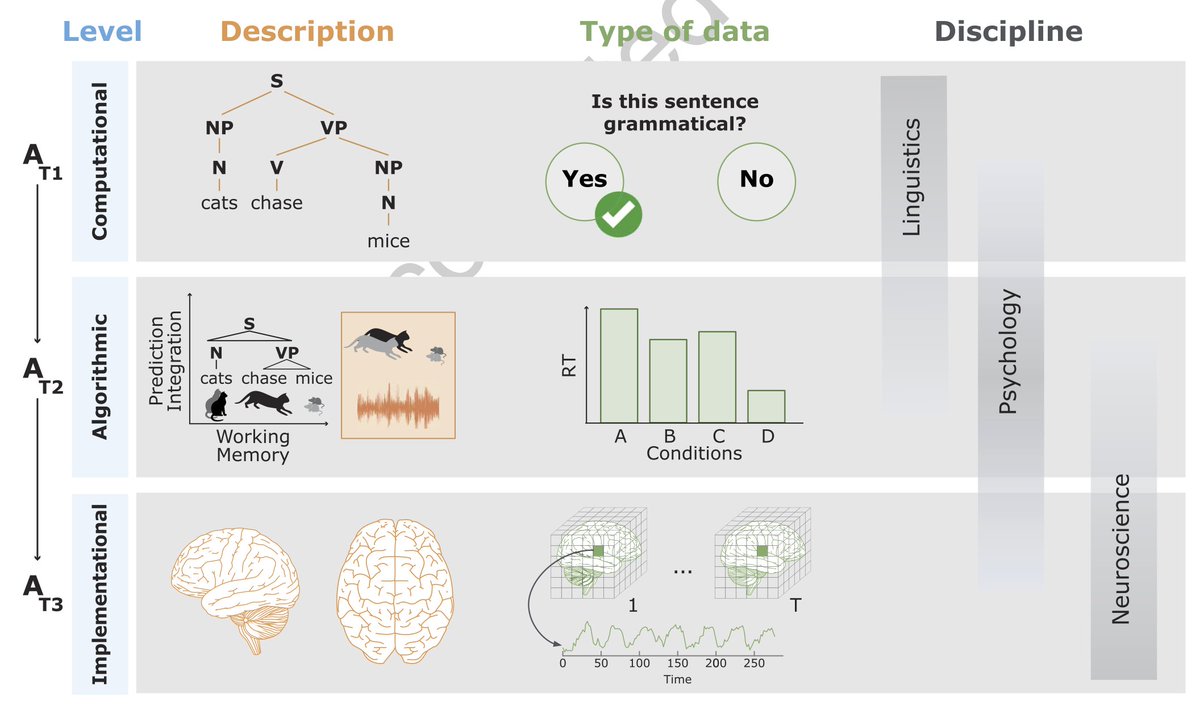 FriedericiLab's tweet photo. 🆕📰New joint #meta-#science paper by current (or past) @FriedericiLab (@MPI_CBS) members out in @JOCN_Journal:

"Cleaning up the Brickyard: How Theory and Methodology Shape Experiments in Cognitive Neuroscience of Language"

Read/Download (open access): https://t.co/S9wOXuOIcv https://t.co/JrF4NkaNgp