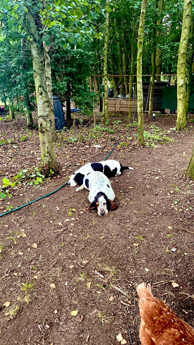 Phil Sledge tweet media