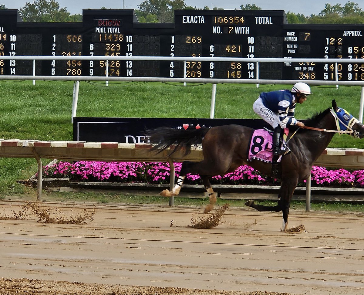 TheRacingBiz's tweet photo. Copper Tax and leading rider Jaime Rodriguez cruise on out of the frame in the First State Dash @DelParkRacing https://t.co/bkEU5uKAEX
