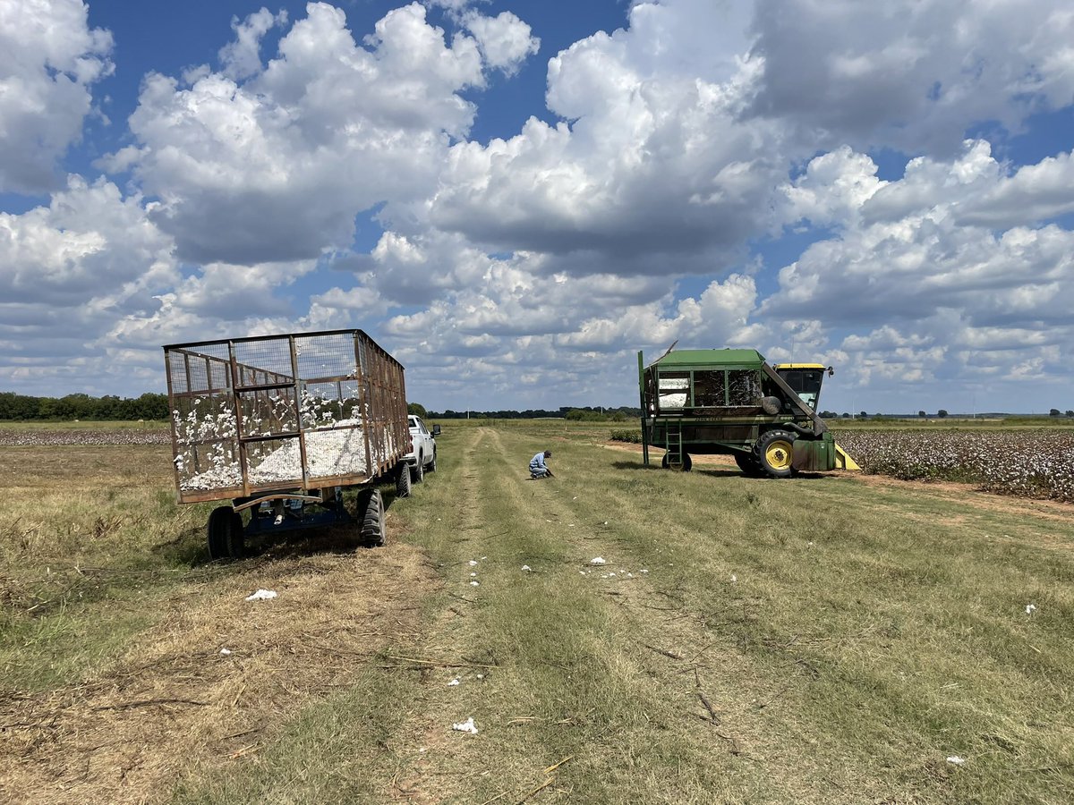 Spent the last 2 days helping out with cotton harvest. Only snag in our progress was the picker and us overheating ☀️🔥☀️ #cotton #agriculture