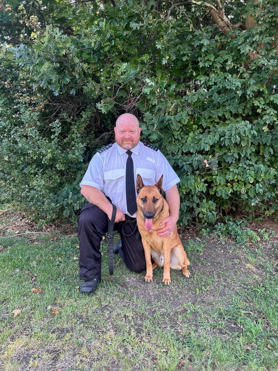 DogsHmpps's tweet image. Congratulations to both PD Theo and PD Leia with their handlers who successfully passed thier assessment and become licensed GP dogs this week. They will be working at @hmpbelmarsh 👏🏻👏🏻👏🏻 #hmp #prisondogs #hmppsdogs #workingdogs #k9 #tiredpaws #nfrsa