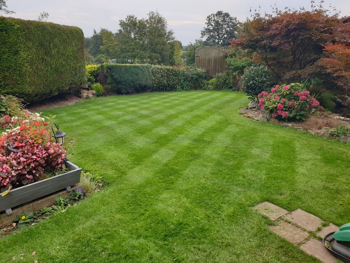 Not bad 31st August to 17th September 🌞☔🌞☔
Thank you <a href="/Jonnyroberts99/">Jonny Roberts</a> for your  expert guidance ...but it won't stop growing 🤔