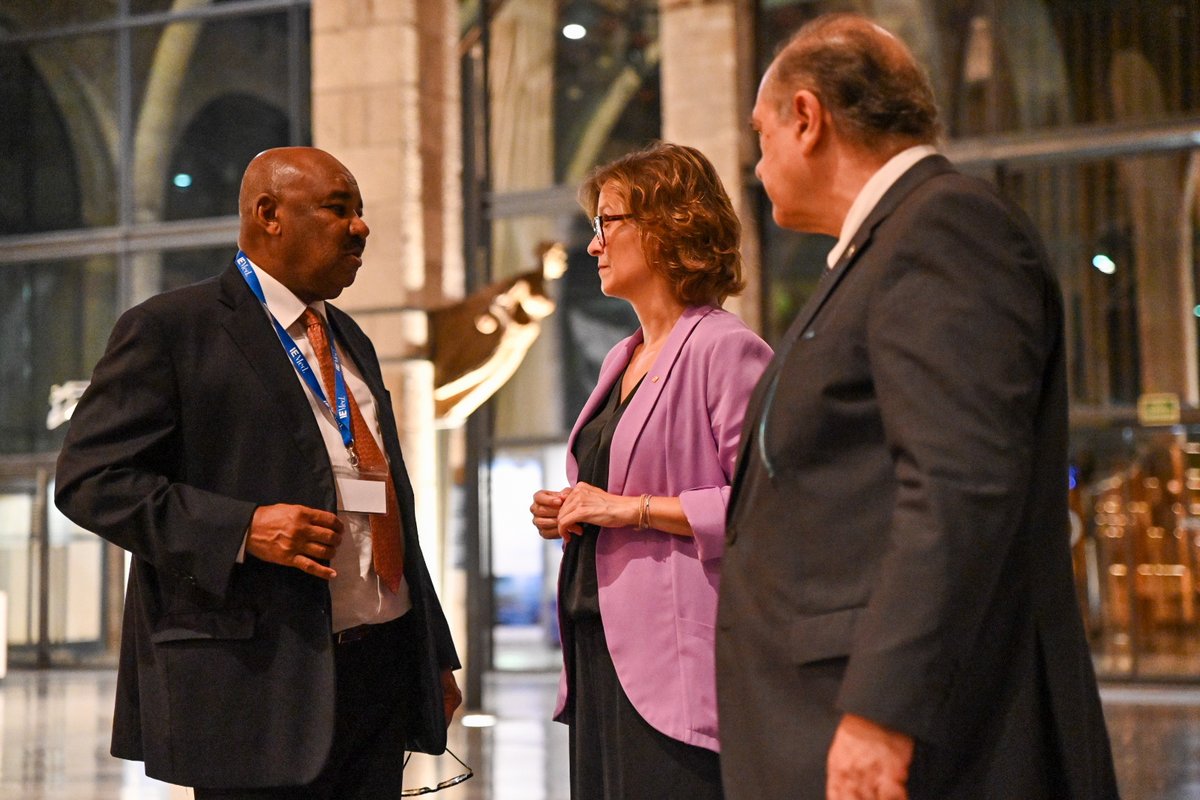 exteriorscat's tweet image. 🌐 Serret ha estat acompanyada d&apos;@IbraElbadawi, exministre d’Economia del Sudan i president @ERFlatest, i de @FlorensaSenen, president executiu
@IEMed_ 

#FEMISE_AC2023