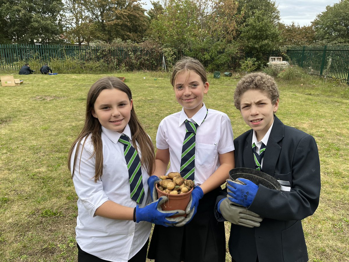 Springwest Blooms tweet media