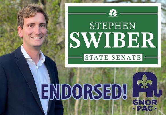 GNOR_PAC's tweet photo. GNORPAC endorses Stephen Swiber @SSwiber for State Senate 21st Senatorial District. https://t.co/t8hSgJC82x