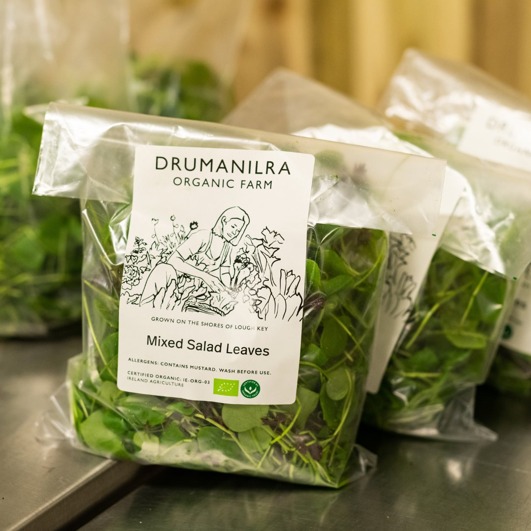 Organic seasonal mixed salad leaves - healthy, versatile, nutritious, and hand-harvested with care and joy 🌱 Pre order on our website honestlykitchen.ie/shop/