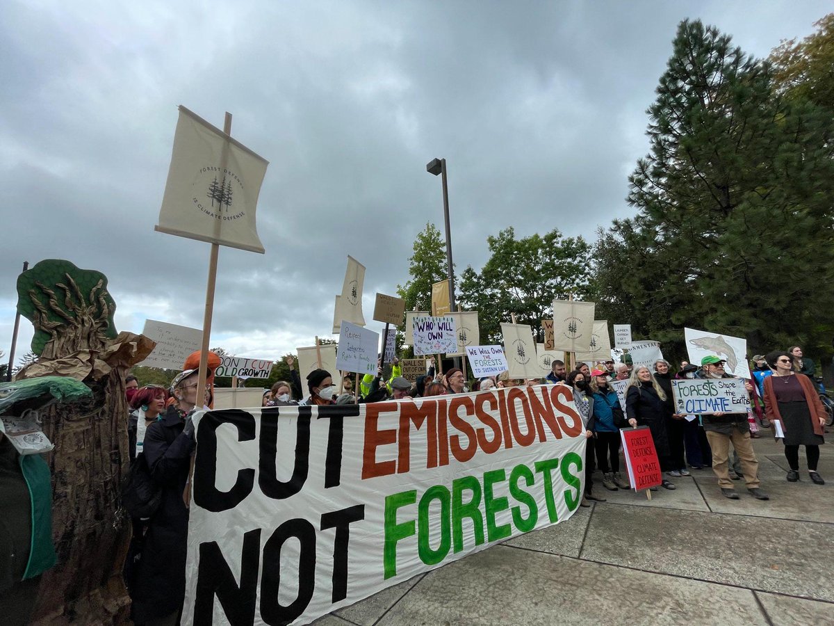 Treesitters Union Media Collective tweet media