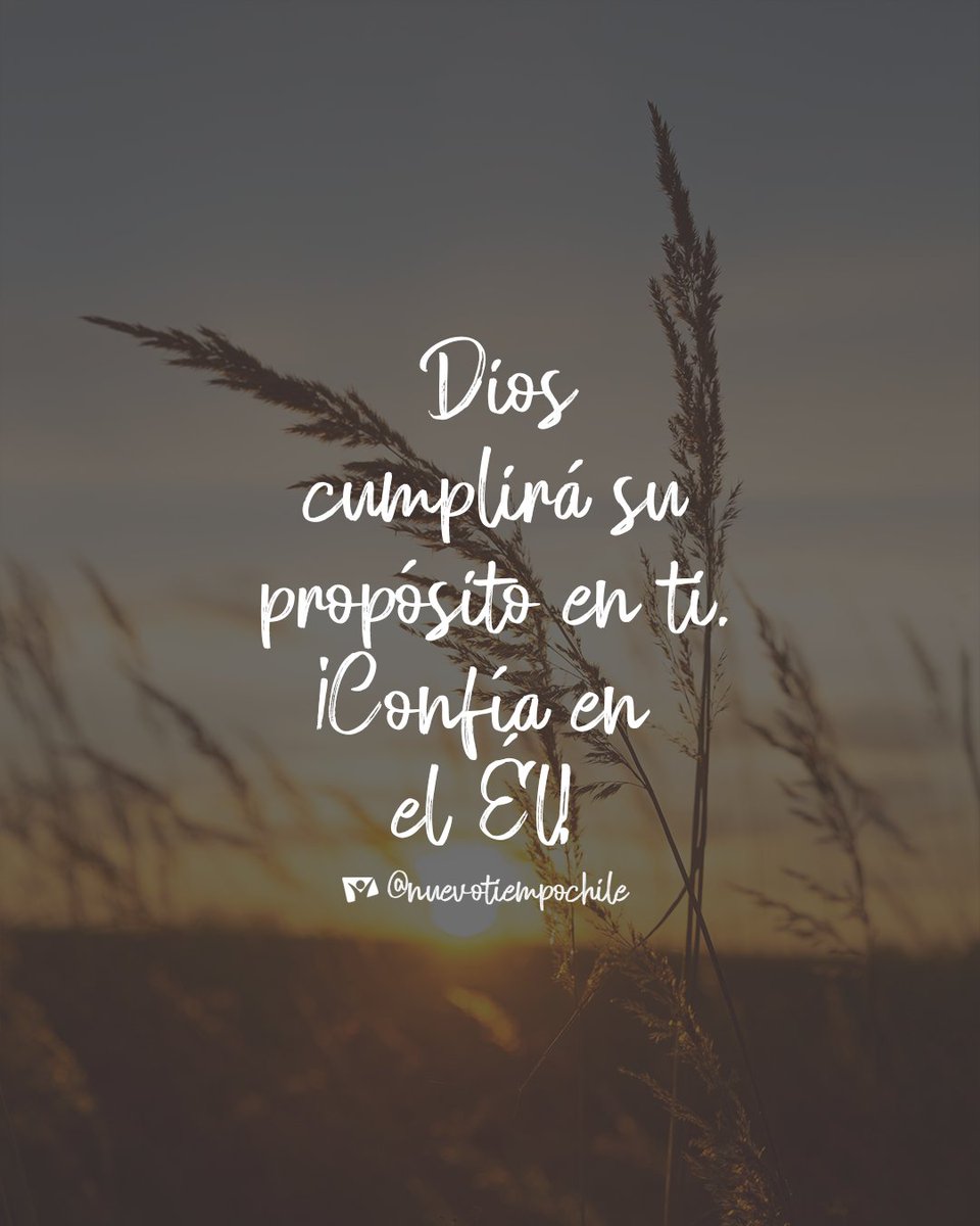 ntchile's tweet photo. 🎶 🎵  Porque Dios, cumplirá sus propósitos en ti,
Porque Dios velará por ti🎶

🌟"Confía en el Señor de todo #corazón , y no en tu propia inteligencia. Reconócelo en todos tus caminos, y él allanará tus sendas". 👣🙌Proverbios 3:5-6 📖 https://t.co/3JnipFwLKt