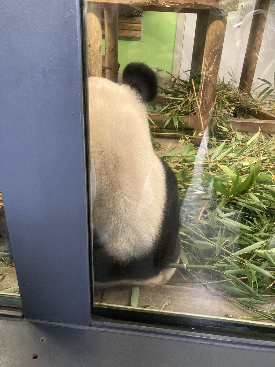 jameshook91's tweet photo. Excellent day today visiting @EdinburghZoo Top place I have to say! 👍 https://t.co/m7b16aecBt