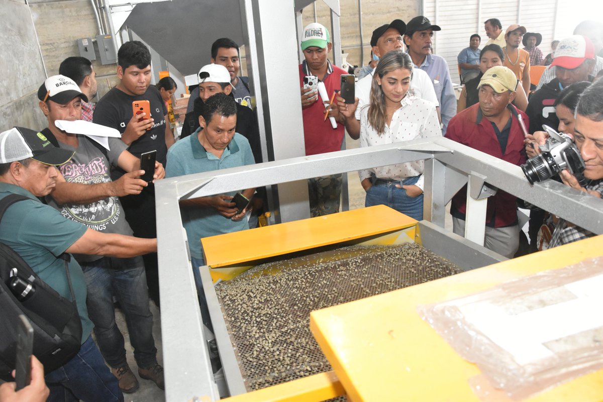 Secam_Oficial's tweet photo. El #INCARural será el encargado de impartir las capacitaciones a productores de café de organizaciones, asociaciones civiles, productores independientes y empresarios de la industria del café, el cual es gratuito y tiene reconocimiento con validez oficial. https://t.co/thXxB7suW7