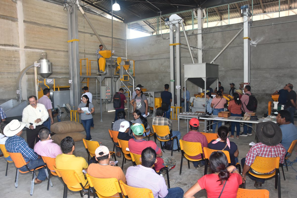 Secam_Oficial's tweet photo. El #INCARural será el encargado de impartir las capacitaciones a productores de café de organizaciones, asociaciones civiles, productores independientes y empresarios de la industria del café, el cual es gratuito y tiene reconocimiento con validez oficial. https://t.co/thXxB7suW7