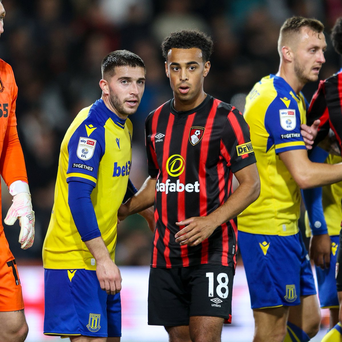 afcbournemouth's tweet photo. Things we love to see 😍 https://t.co/9g7wUGqg2N