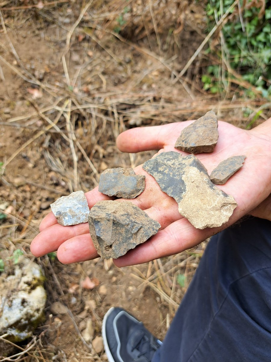 CarenzaLewis's tweet photo. ... with a broad subject range and a strong practical focus, #MScAP students will learn about the archaeology of Britain (from the Palaeolithic to the present day) and study archaeological methods and theory before completing a three-month industry placement and a dissertation. https://t.co/HyvLfIpaDi