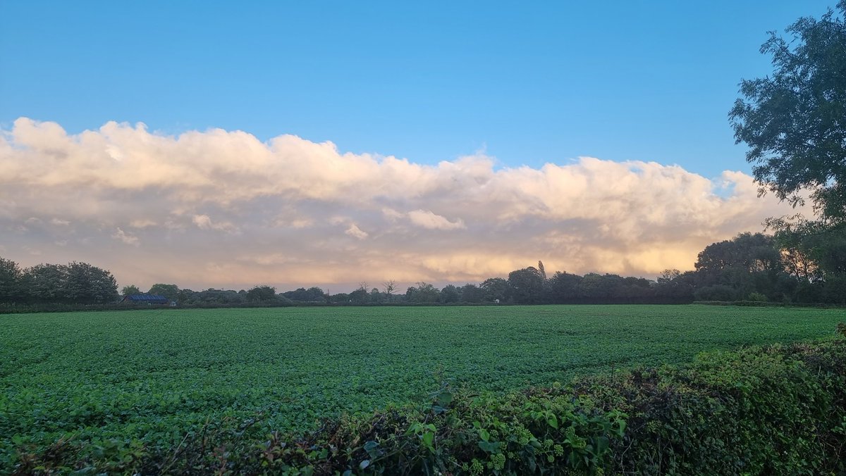 Kws campus sitting pretty under the clouds. Lucked out this year with the OSR. No insecticide and late sown fields been inspected today and look good! Let's see what happens between now and harvest! No chickens counted! <a href="/KWSUKLtd/">KWS UK Ltd</a> <a href="/Hutchinsons_Ag/">Hutchinsons</a>