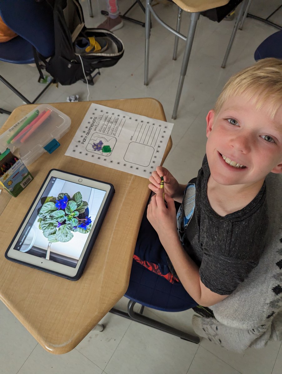 Mr. Sassetti's 3rd Grade tweet media