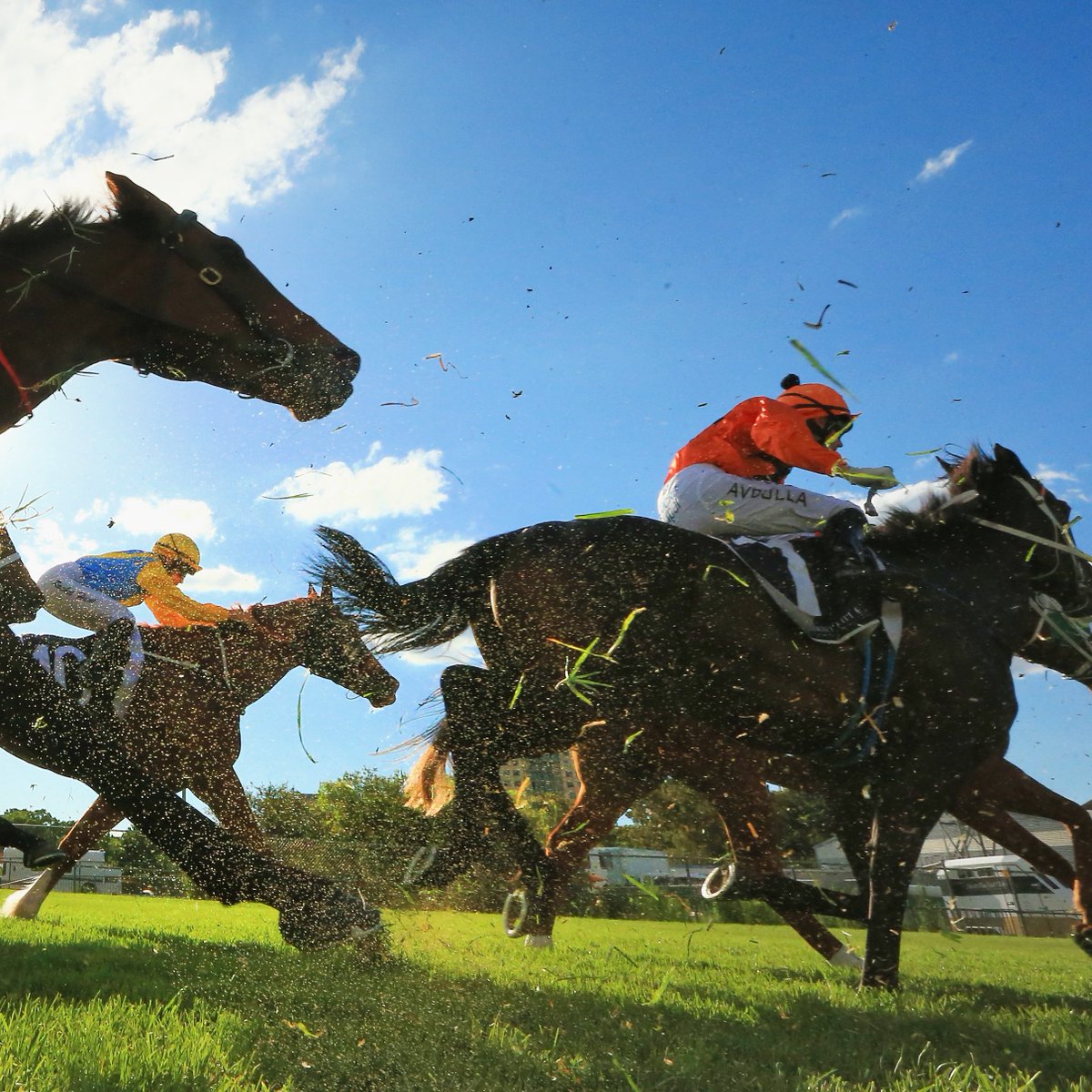 bet365_aus's tweet image. 🚨 Well-supported runners:

#Kilcoy
R1. Super Duck $3.80👉$2.40

#Northam
R2. Queen Rhaenyra $15👉$4.60
R3. Rumba Rhythm $101👉$19

#Wyong
R8. Oakfield Twilight $19👉$7.00

Markets▶️bit.ly/3GrzHgs

WHAT'S GAMBLING REALLY COSTING YOU? Set a deposit limit.