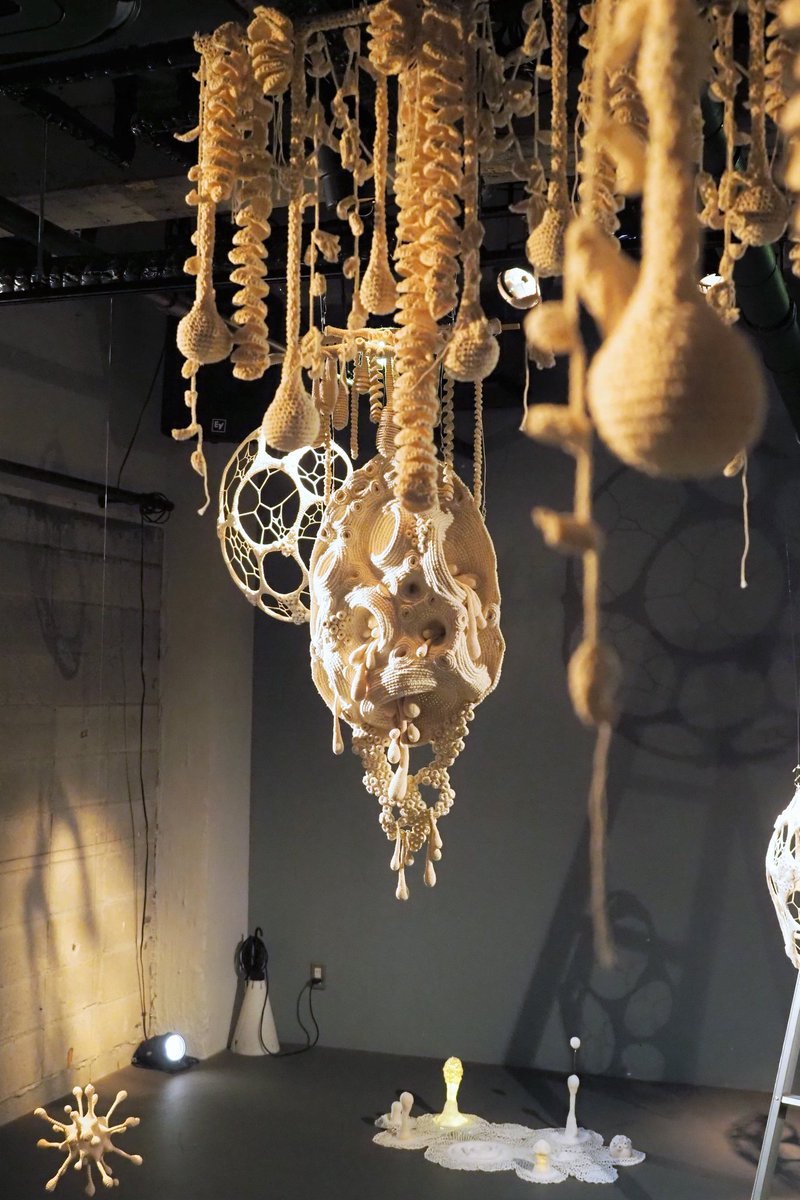 山口三輪 Miwa Yamaguchi tweet media