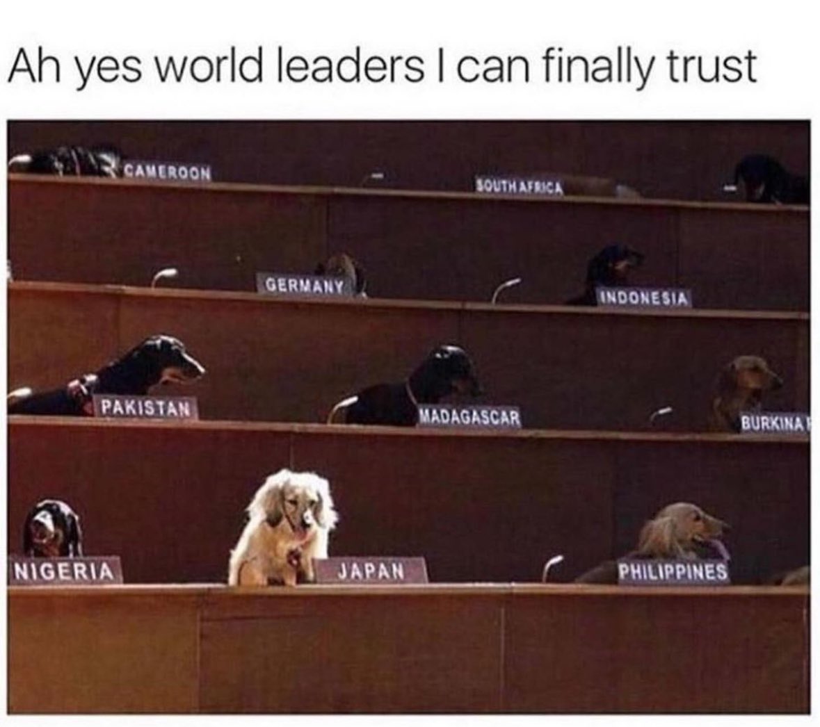 100% agree 

Cc: <a href="/GoodBoy_CEO/">Rocky, CEO</a>