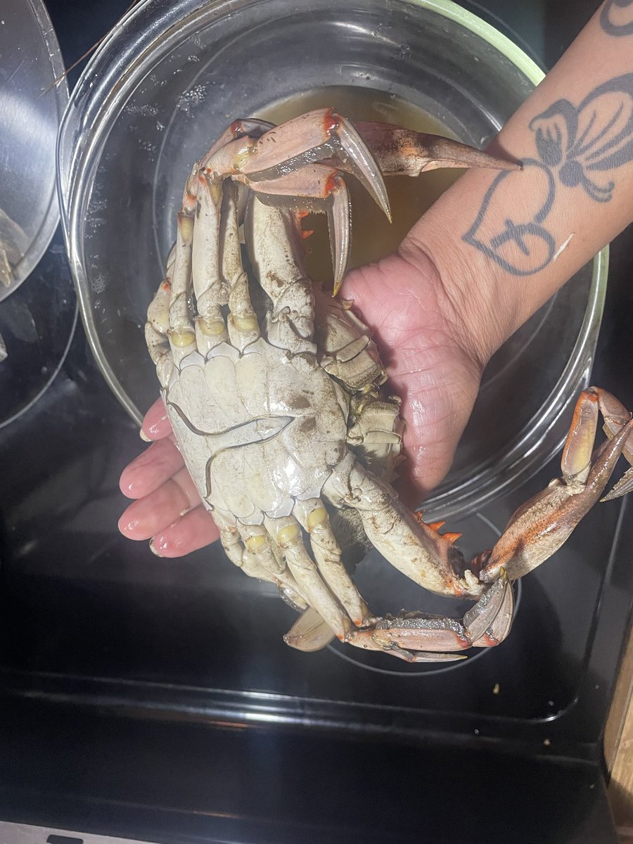 IamJrated's tweet image. Caught these big ones the other day. Prayerfully I can have this same anointing when I go crabbing again! #Funners