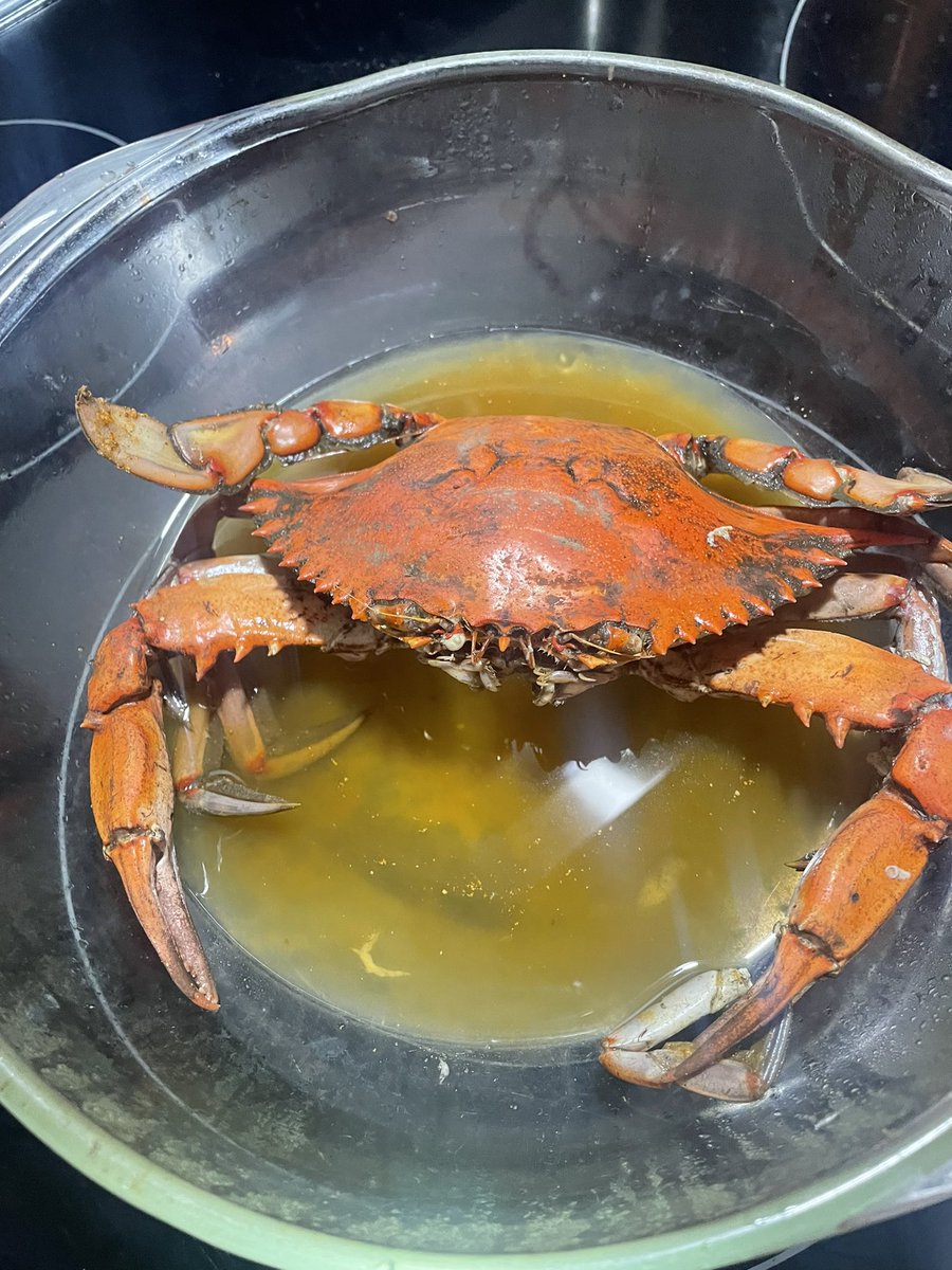 IamJrated's tweet image. Caught these big ones the other day. Prayerfully I can have this same anointing when I go crabbing again! #Funners