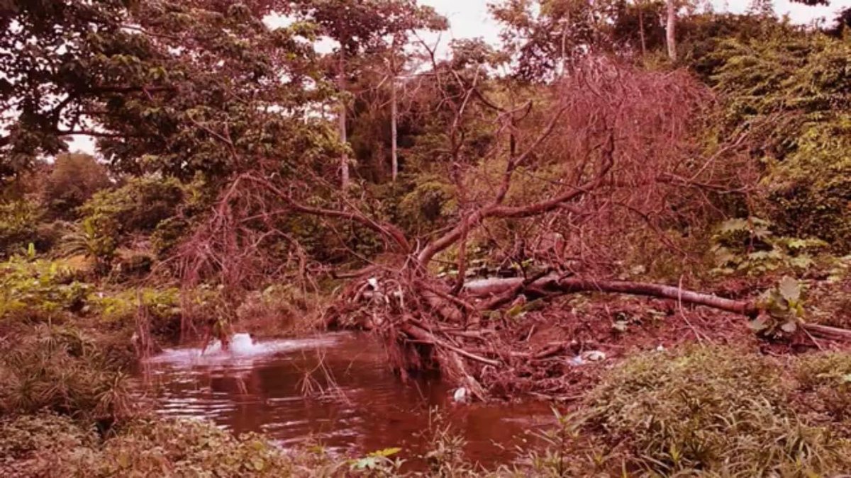 o_lahera's tweet image. Videoarte cubano en el Experimental Loop, gracias inmensas a su equipo curatorial por la grata oportunidad.
Pertenencia se va a New York a ser parte de este prestigioso festival de nuevos medios.

#videoart #performanceart #videoperformance #experimentalart