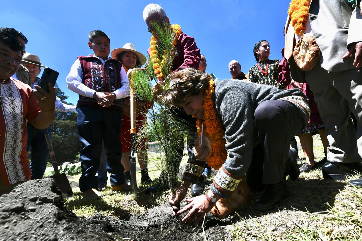 delfinagomeza's tweet photo. Los pueblos originarios nos han enseñado cómo amar y respetar a la tierra. Siguiendo ese conocimiento, presentamos los lineamientos para desarrollar el Plan Estatal de Conservación y Restauración de Ecosistemas Forestales. 

Vamos por vidas verdes, por pulmones para nuestra tierra y por guardianes de la biodiversidad. Este programa es la promesa de un futuro más verde y sostenible para todos nosotros y para las futuras generaciones. #ElPoderDeServir