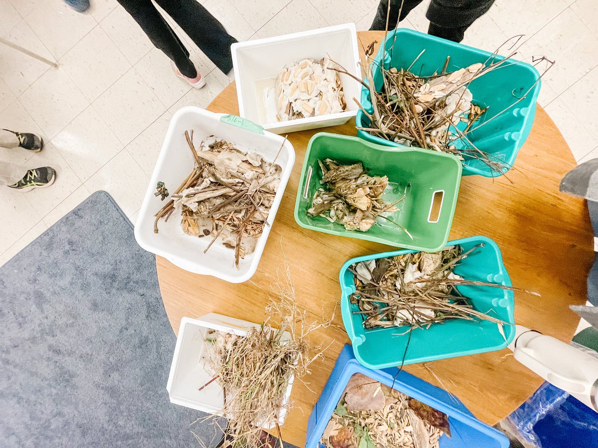 MsGraceGomer's tweet photo. We were busy little beavers today in 3-1! We’ve been learning about structures and animal architects. Today we applied what we know about successful structures and beaver habitats to create our own dams.  Here’s our before and afters. #gracesaces @MaplehurstPS https://t.co/7izuXJnuRS