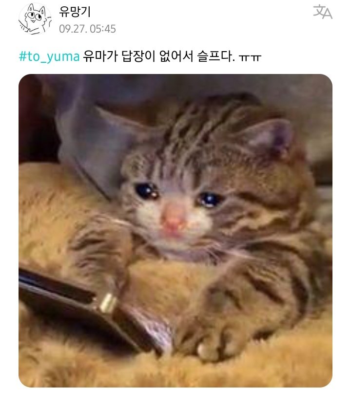 yumarchive's tweet photo. WHO WAS GONNA TELL ME #YUMA REPLIED TO ME ON WEVERSE ?!?!? https://t.co/LH1BuzPBYC