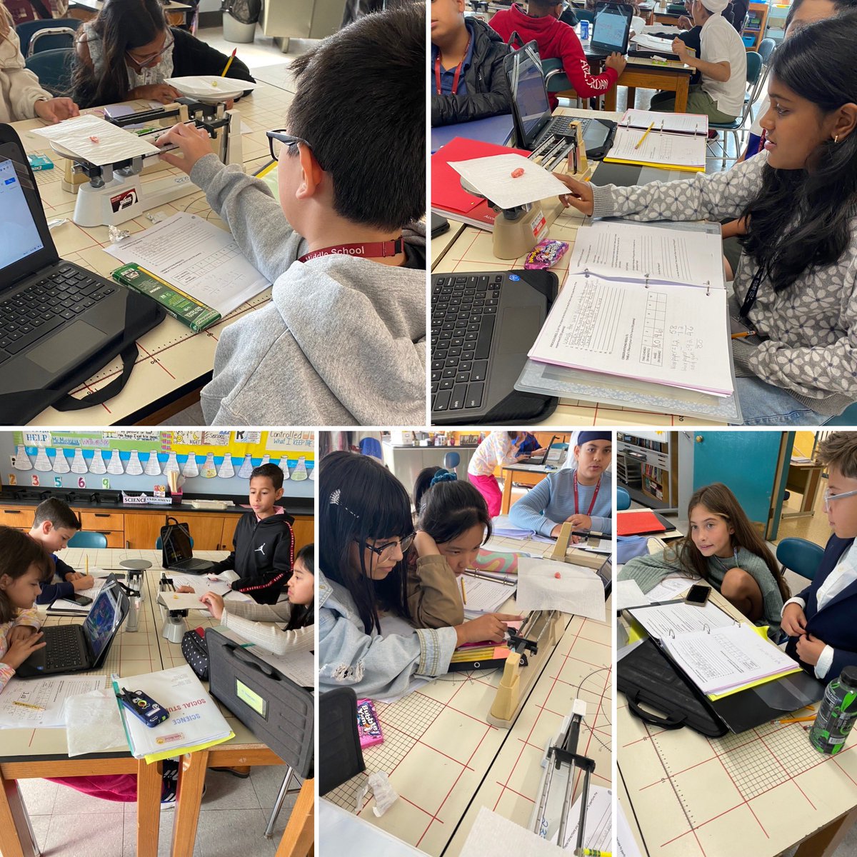 Maria Santodonato tweet media