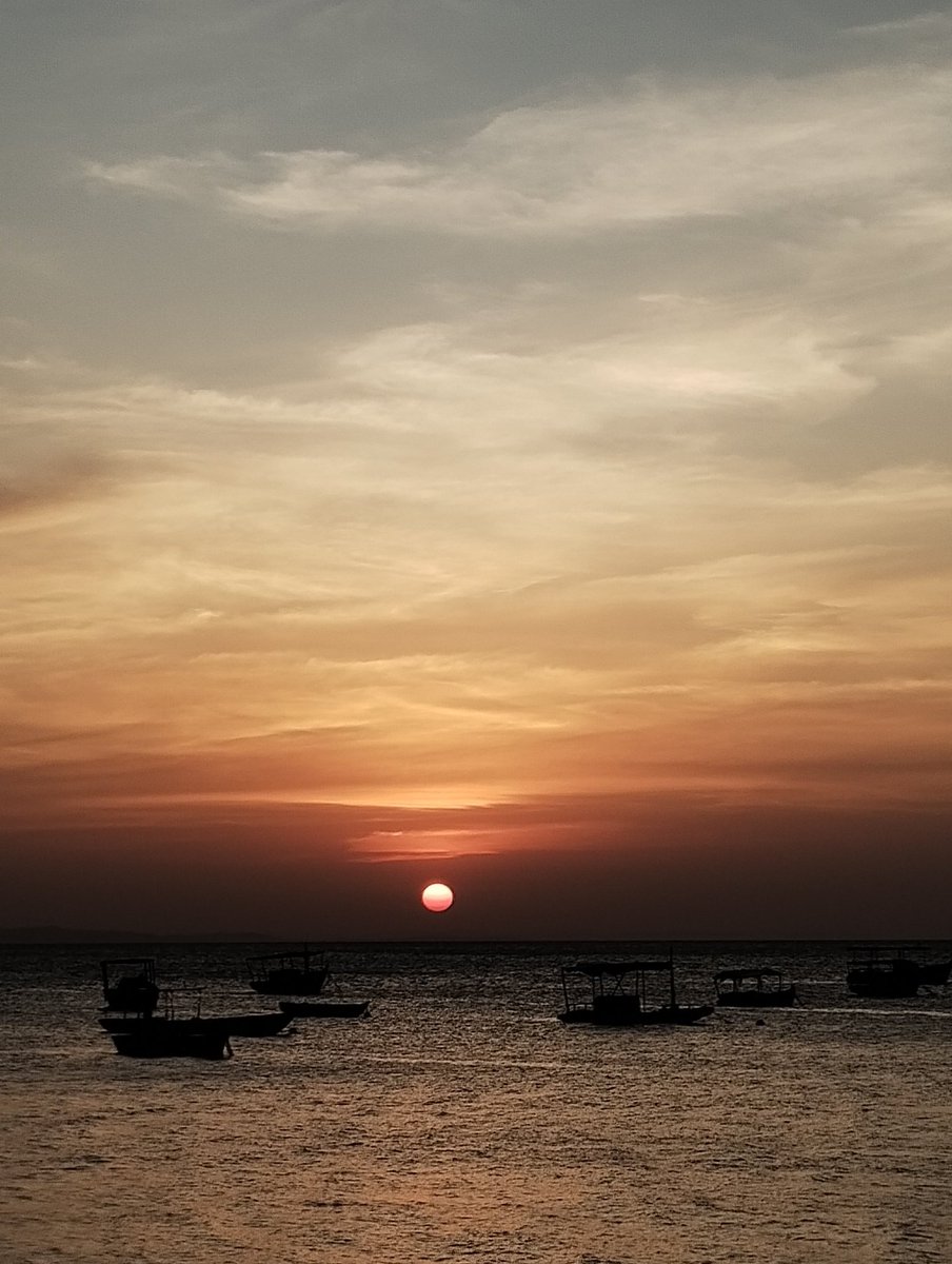 bbabylua's tweet image. 🌊🐚💫🙏🏽🫧🛟🌴🌕🌞
quintal de casa