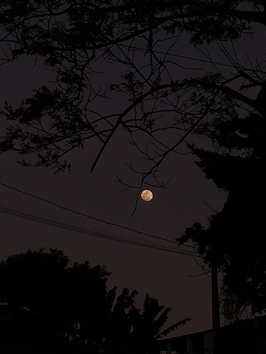 bbabylua's tweet image. 🌊🐚💫🙏🏽🫧🛟🌴🌕🌞
quintal de casa