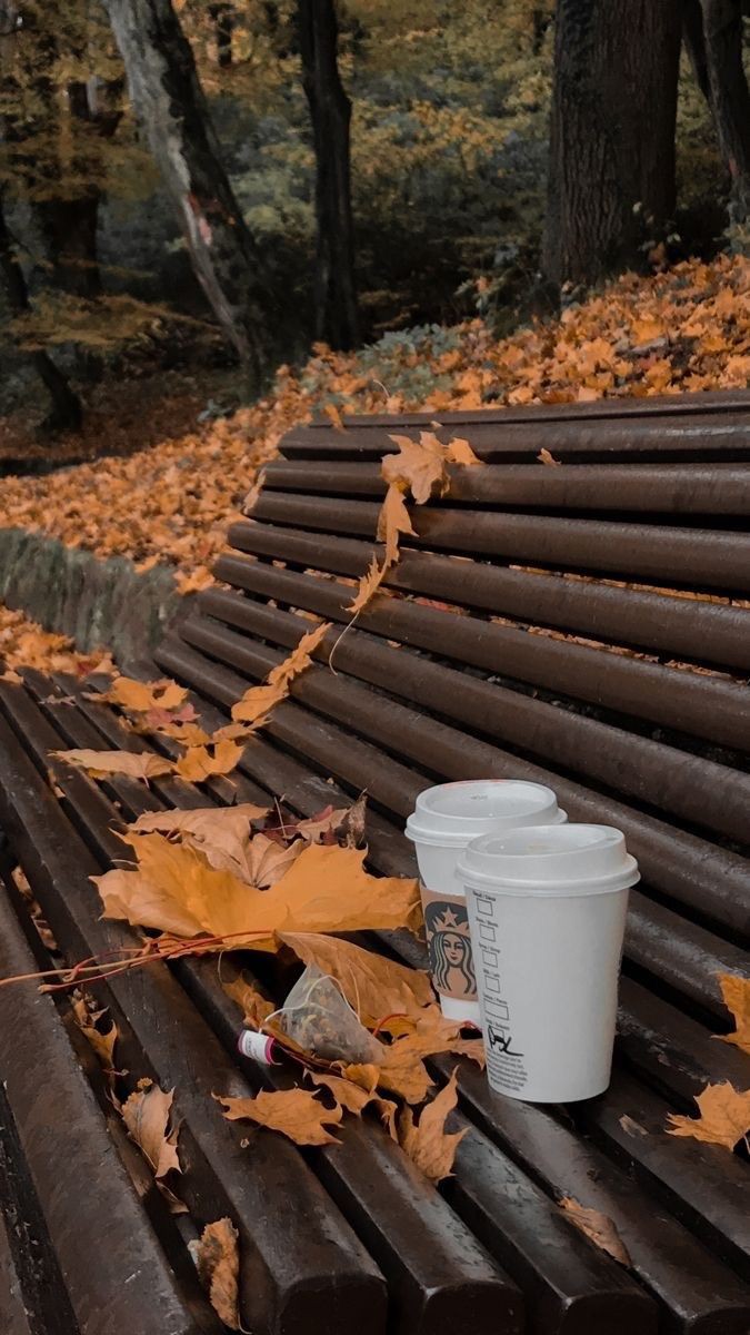 thespookygirll's tweet photo. vibes 🍁🎃☕️👻🌧🍂 https://t.co/JsMKld80Ui