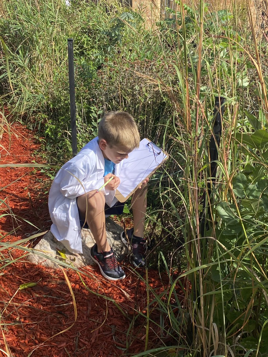 abjurlin's tweet photo. WCSI scientists (aka second graders) were making observations out in the field today and recording their findings! #SLPPantherProud https://t.co/PDuUjAmMCR