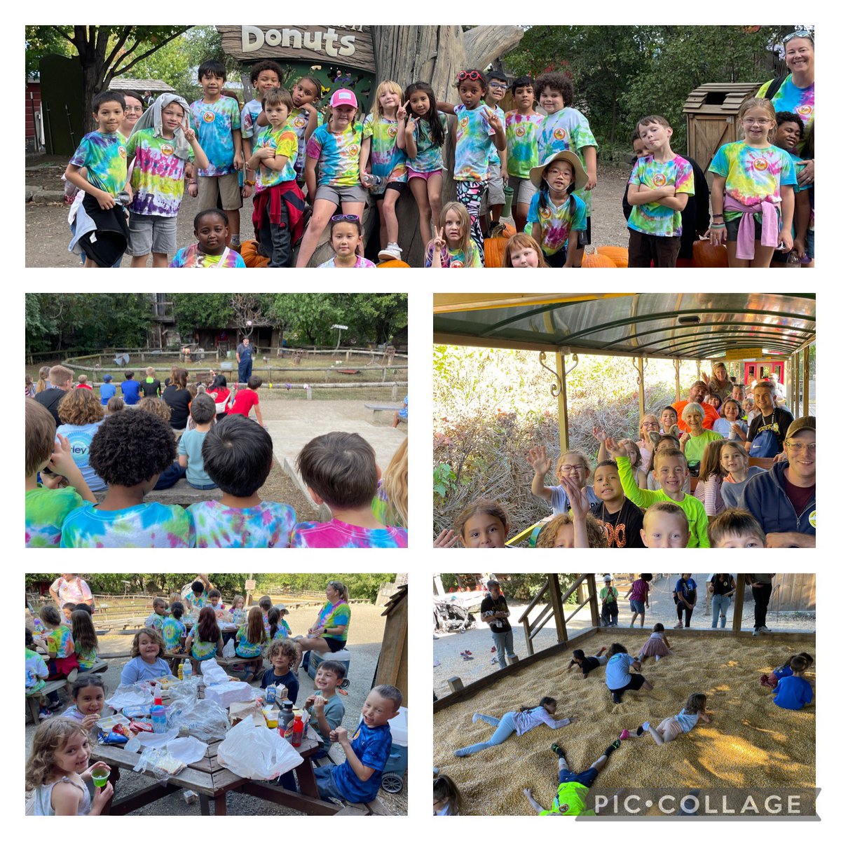 Catlin Arts Elementary tweet media