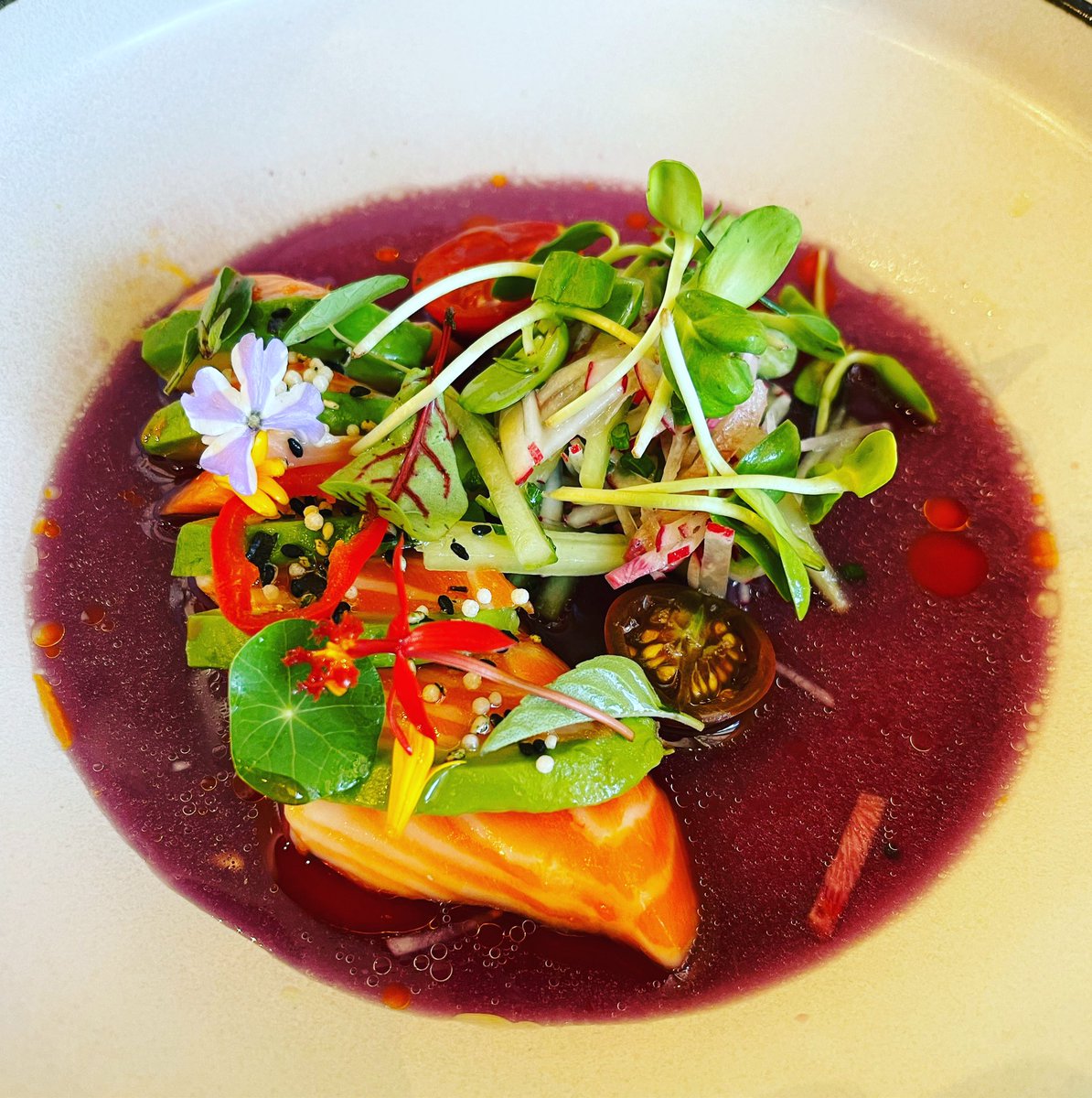 TheCuisineist's tweet image. A Brilliant SALMON CRUDO
glory bay salmon, avocado, radish salad, chili oil, purple ponzu
@downtownsummerli@chefroyellamar @finewithus #finecompany #summerlin #lasvegas #chefroyellamar #cuisineist #cuisineistconfidential Cuisineist.com #chiccompassmagazine