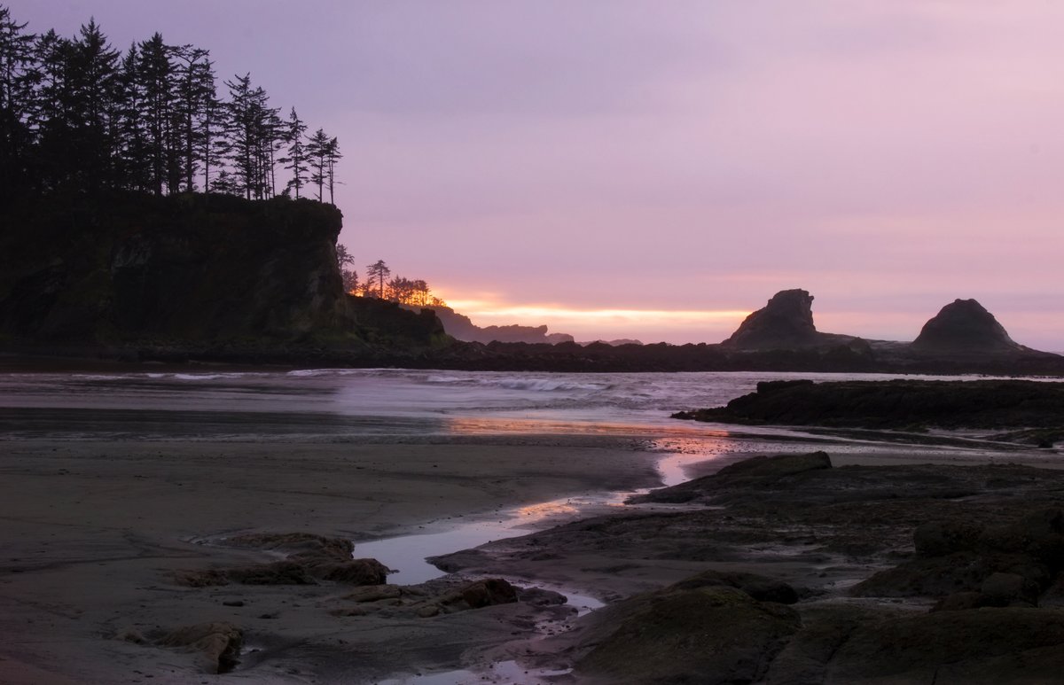 Beth Frates MD tweet media