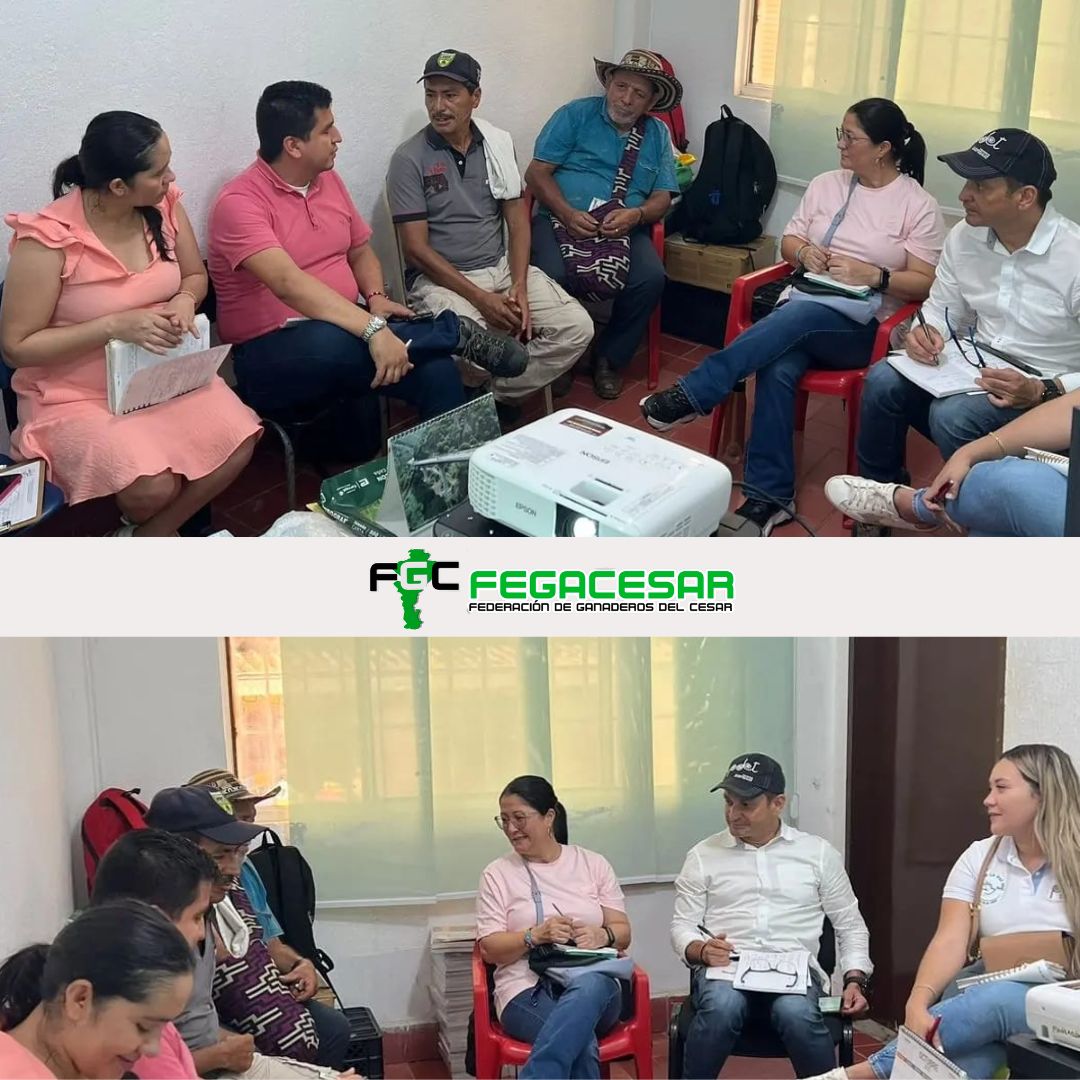 De la mano con <a href="/RenovacionCo/">Agencia de Renovación del Territorio</a>
<a href="/jlo_herazo/">Jennifer Lopez H</a> participó en un comité comunitario para coordinar entregas de activos productivos para fortalecer 93 familias del  proyecto de "Implementación de Sistemas Silvopastoriles a ganaderos del Catatumbo del municipio del Tarra Nte Santander" .