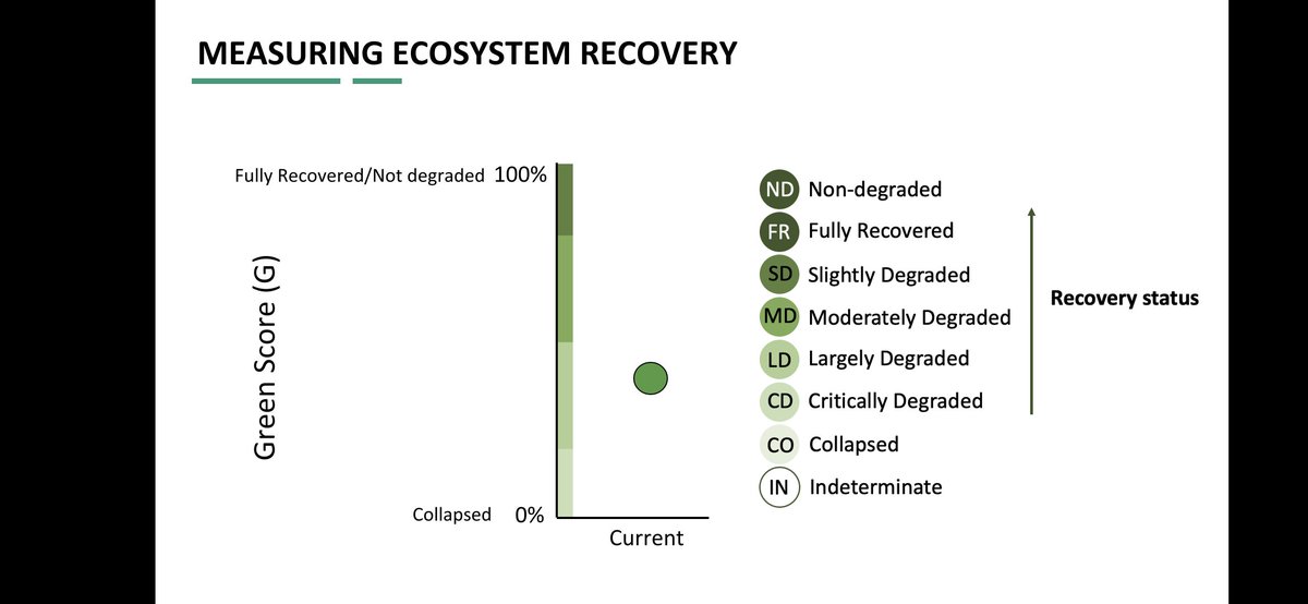 The @iucn @redlisteco #RedListofEcosystems assigns collapse risk categories to ecosystems. How do we assign categories of RECOVERY? Join us at #SER2023 for a workshop on Friday @ 2pm in the Territory Room to give your views! 🗓️Workshop info: bit.ly/455ZPI8 @jessicawalsh1