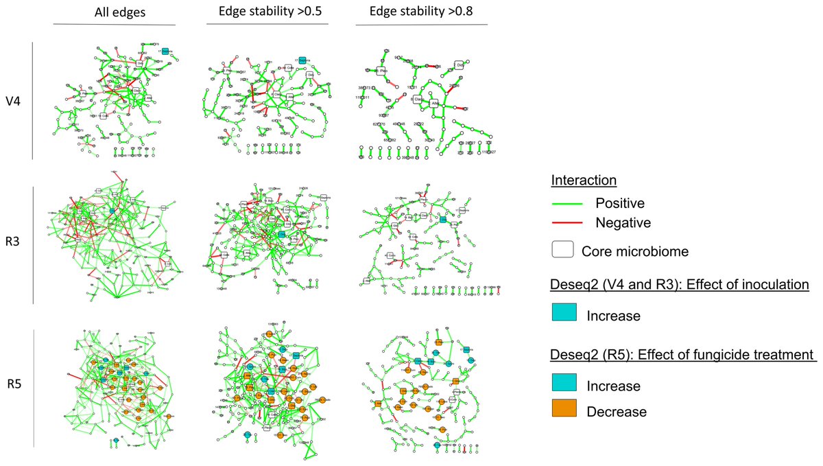 Don’t miss this trending paper from our new focus issue! Findings by <a href="/HengAnLin1/">Heng-An Lin</a> and <a href="/smideros/">Santiago Mideros</a> reveal the soybean phyllosphere mycobiome and open the possibilities of targeted manipulation of fungal infection to improve foliar disease management.

🔓 Read: doi.org/10.1094/PBIOME…