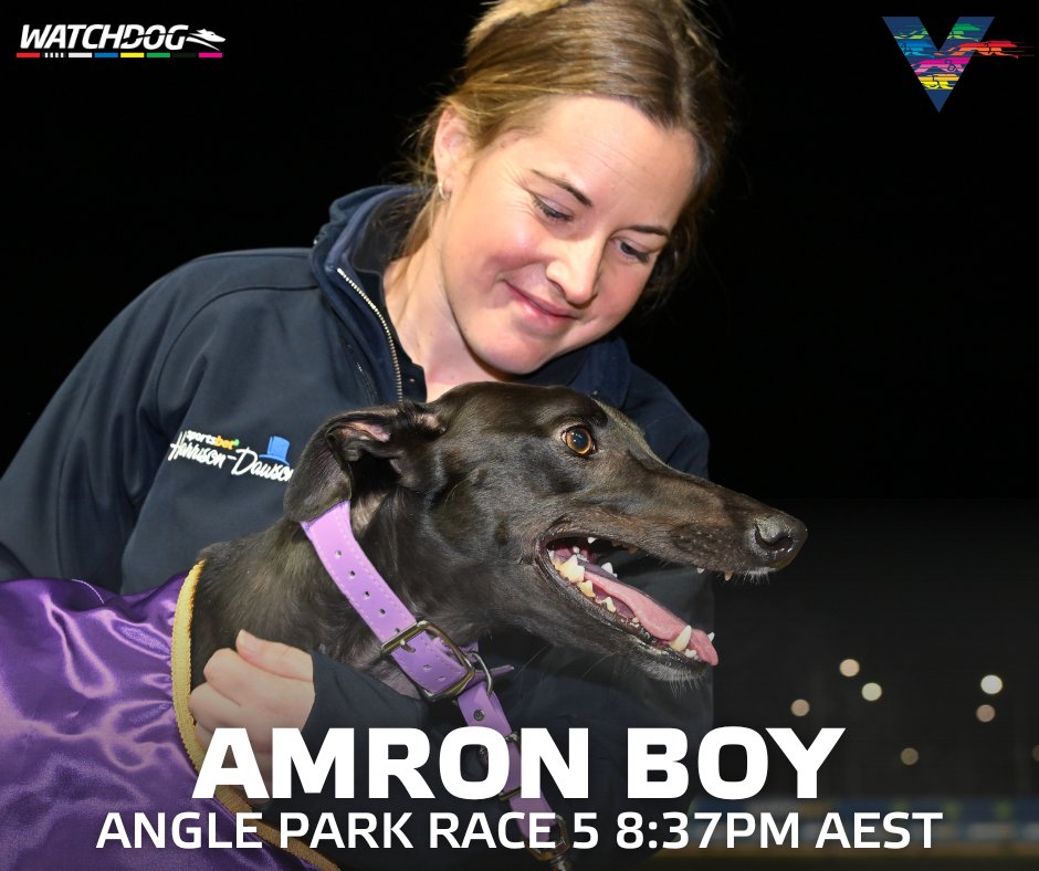 WatchDogRacing's tweet image. 🤞🏻GOOD LUCK TO THE VICS 🤞🏻

Group 1 winners AMRON BOY and LAUNCH CODE, #SpeedStar champion AFIRE, and #PinkDiamond winners NAVARINO and TRANSPONDER are in heats of the Group 1 #AdelaideCup at Angle Park.

🏁 Race 1 of 12 ⏰ 7:07pm

#GreyhoundRacing | 📸 BlueStream 
@TheDogsSA