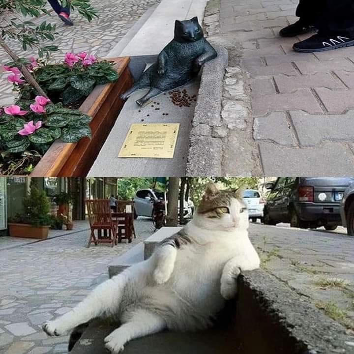 juana rodriguez (@juanarodr2016) on Twitter photo 