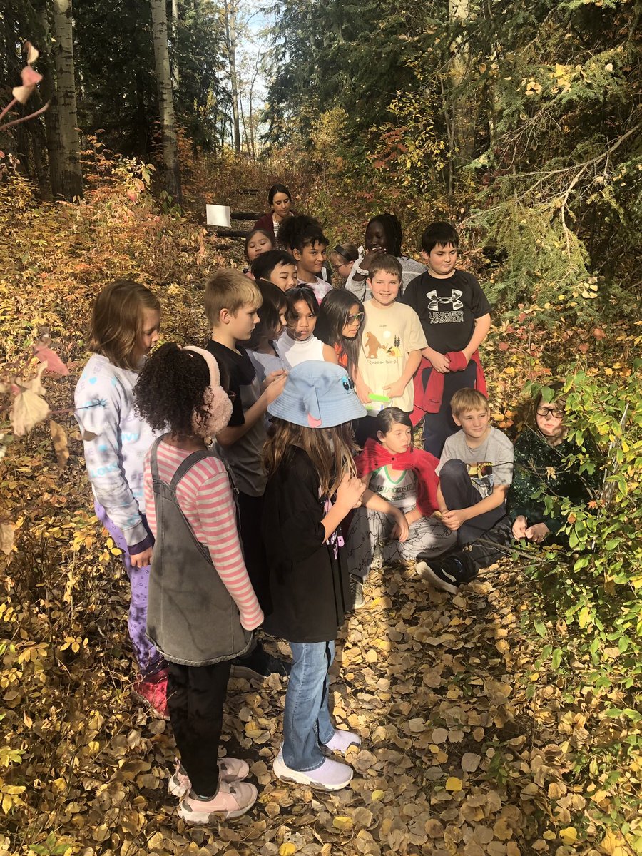 Gerarda Germain (@germaingerarda) on Twitter photo 