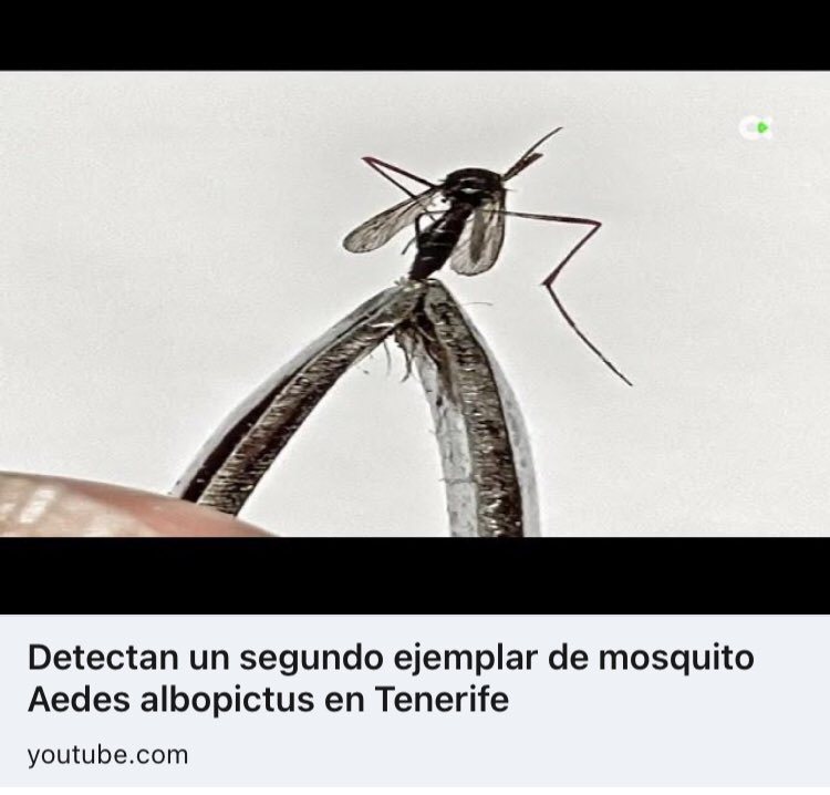 🦟 El #MosquitoTigre sigue intentando colonizar #Canarias…
#ControlVectorial #AedesAlbopictus #SaludPública 
m.youtube.com/watch?v=hdfAWA…