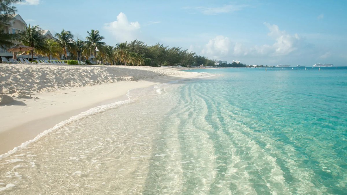 Embark on an adventure in #GrandCayman, a Caribbean gem. Swim with stingrays, relax on pristine beaches, and explore stunning coral reefs. #CruisePortAdvisor #GrandCaymanCruises buff.ly/3PuN83U